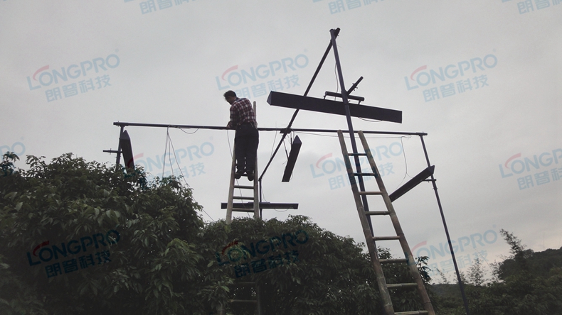 東莞植物園 (6)_副本.jpg 東莞植物園 (6)_副本.jpg